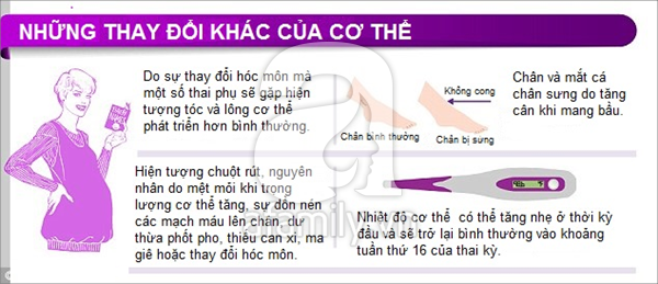 Thay đổi của cơ thể khi mang thai 12